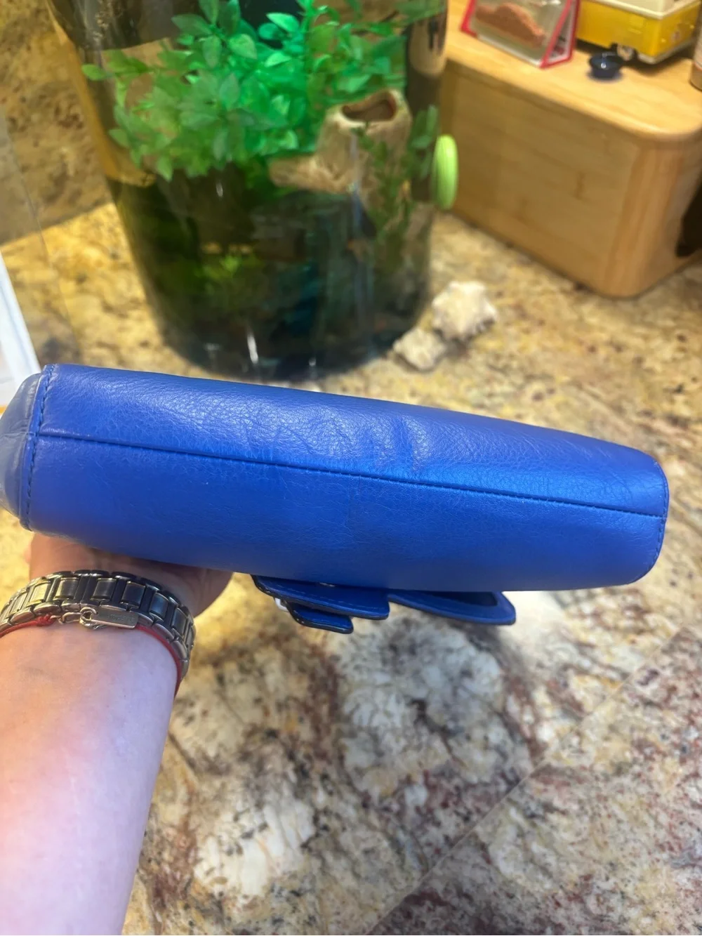 COACH Taylor Distressed Leather Wristlet/Clutch